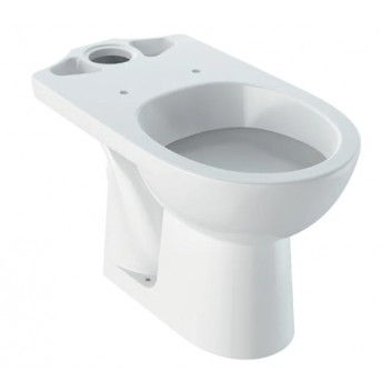 Geberit Selnova Na postavení misa WC do spłuczki nasadzanej, lievikový, B36cm, H39cm, T67cm, odtok vodorovný