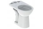 Geberit Selnova Comfort Na postavení misa WC do spłuczki nasadzanej, lievikový, 35.5x65.5cm, podwyższona, odtok vodorovný, Rimfree