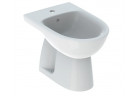 Geberit Selnova Bidet voľne stojaci, 35.8x54cm, z prepadom, s otvorom pre batériu