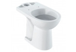 Geberit Selnova Comfort Na postavení misa WC do spłuczki nasadzanej, lievikový, 36x46x67cm, podwyższona, odtok vodorovný