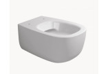 Závesné wc WC Flaminia Bonola 54 x 38 x 27 cm, biela, Montážne telesá- sanitbuy.pl