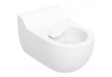 Misa WC Závěsná pre deti Geberit Bambini 53x33 cm, lievikový, bez kołnierza - biela
