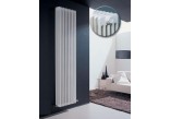 Radiátor Irsap Tesi 2 60x90 cm - biely- sanitbuy.pl