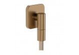 Bodový Sprchový set Hansgrohe Raindance Alive Select S 125 3jet EcoSmart z tekstylnym hadicou Designflex 160 cm - hnedá kefovaná