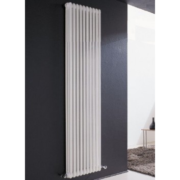 Radiátor Irsap Tesi 2 60x130,5 cm - biely- sanitbuy.pl