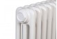 Radiátor Irsap Tesi 2 60x130,5 cm - biely- sanitbuy.pl