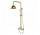 Sprchový set Besco Retro - zlatý