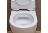 Závesné wc WC Flaminia Link 56 x 36 x 20 cm, čierna vonku/biela wewnątrz, zdobienie, goclean- sanitbuy.pl